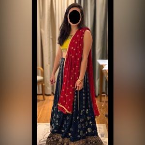 Gorgeous Indian lehenga